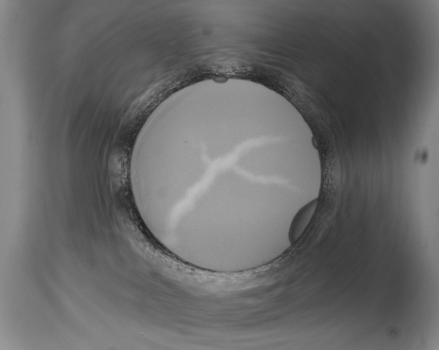 X0000114670043200911181217