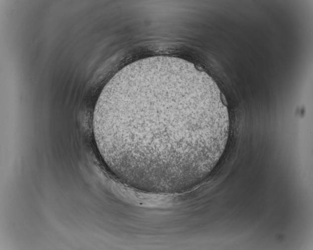 X0000114670044200911181217