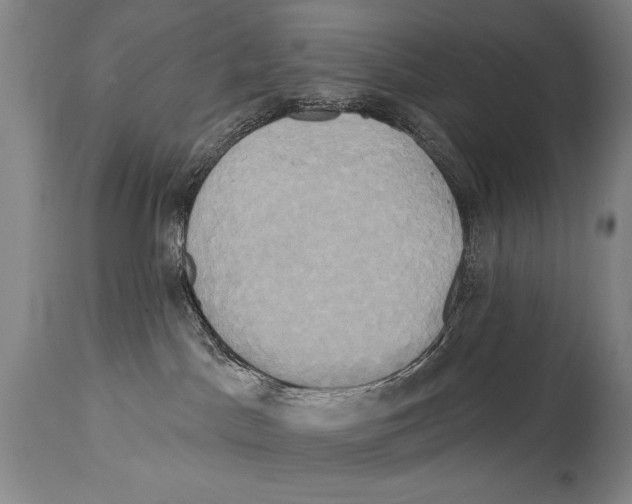 X0000114670045200911181217