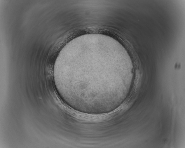 X0000114670048200911181217