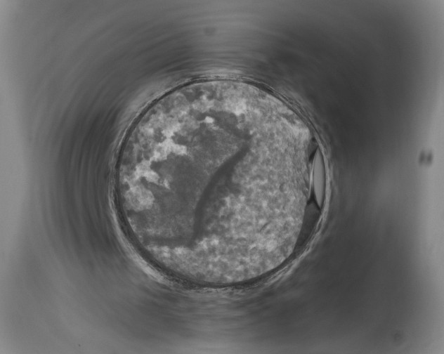 X0000114670049200911181216