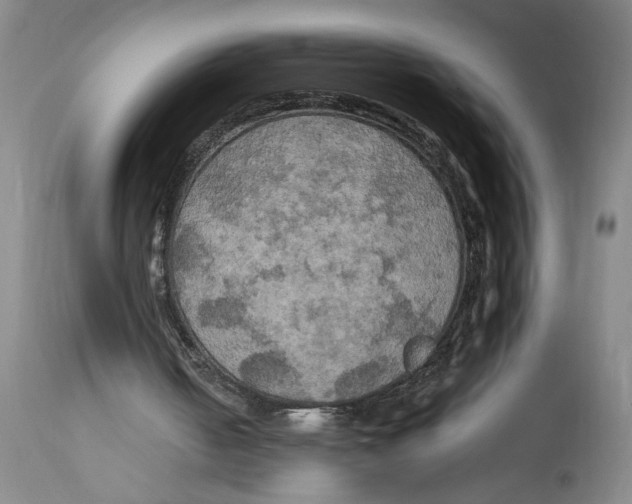 X0000114670050200911181216