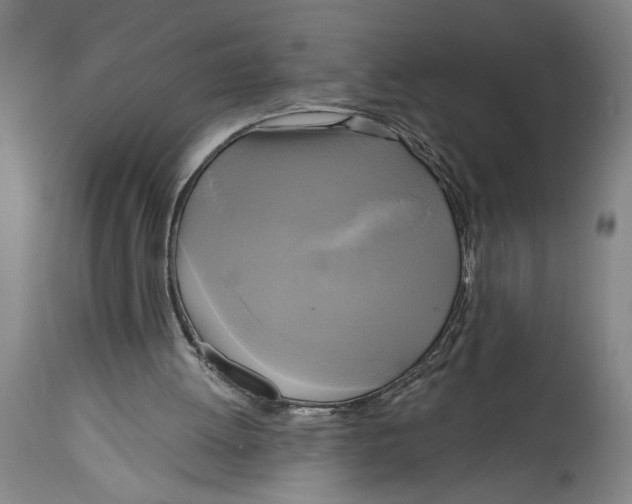 X0000114670052200911181217