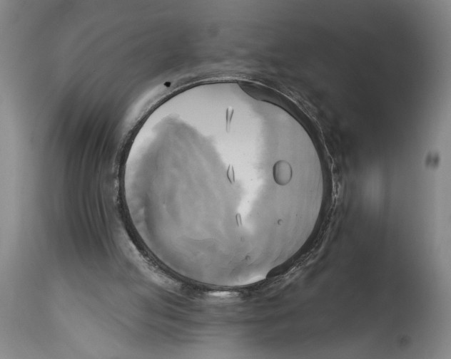 X0000114670053200911181217