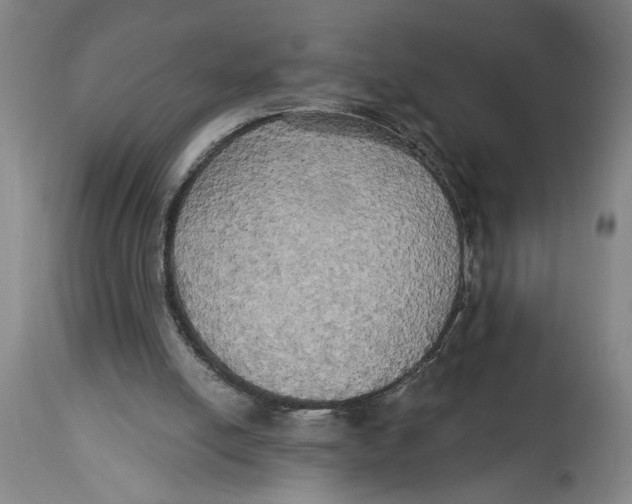 X0000114670054200911181217