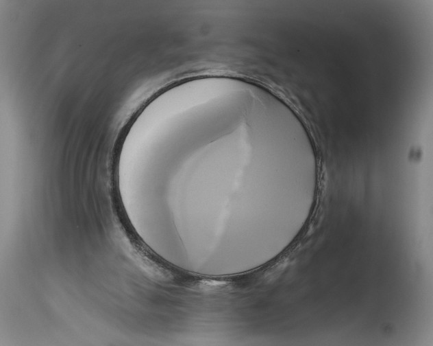 X0000114670055200911181217