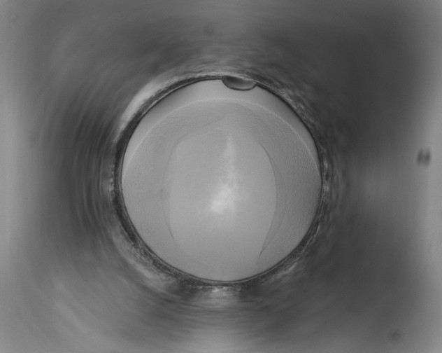 X0000114670056200911181217