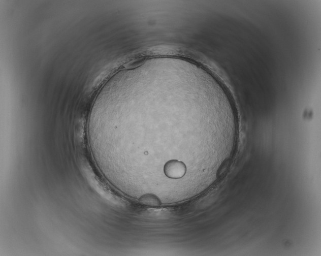 X0000114670057200911181217