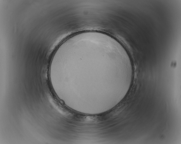 X0000114670060200911181217