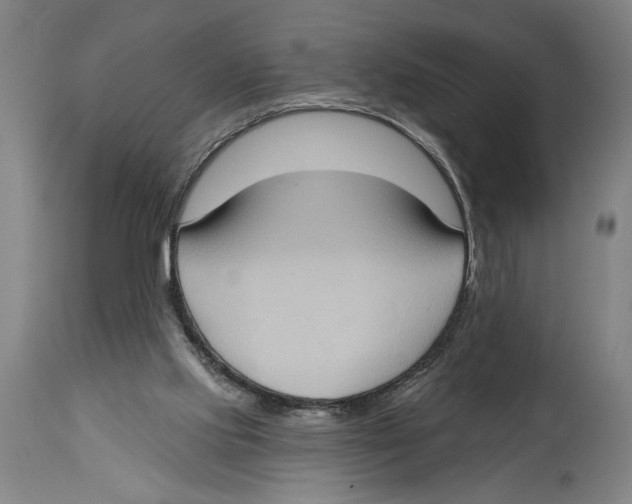 X0000114670061200911181217