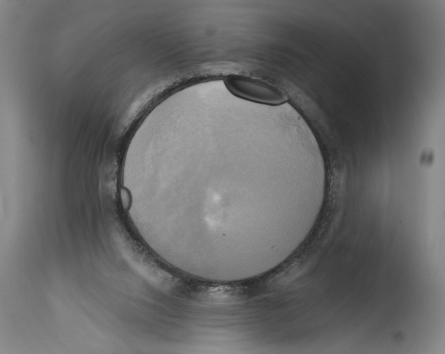 X0000114670064200911181217