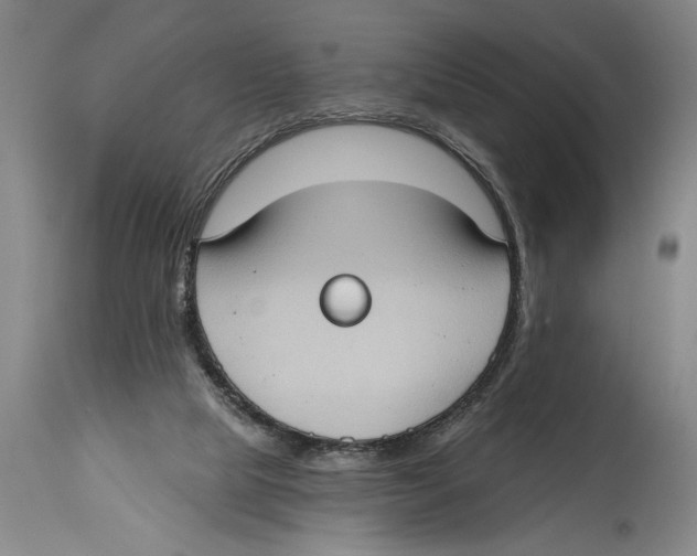 X0000114670065200911181217