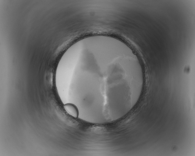 X0000114670067200911181217