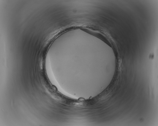 X0000114670068200911181217