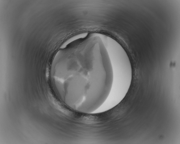 X0000114670069200911181217