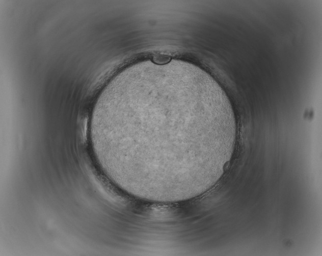 X0000114670070200911181217