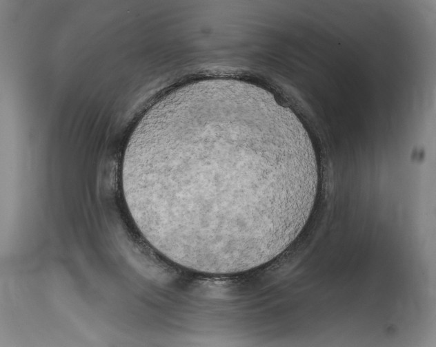 X0000114670071200911181217