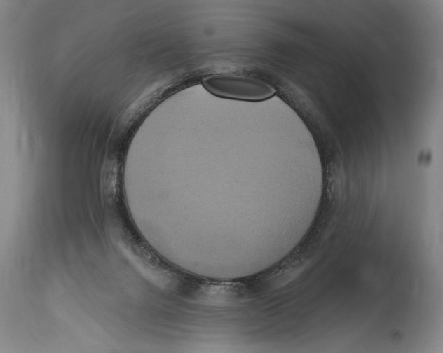 X0000114670072200911181217