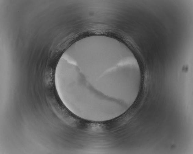 X0000114670073200911181217