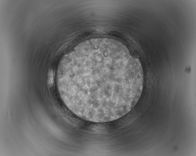 X0000114670075200911181217