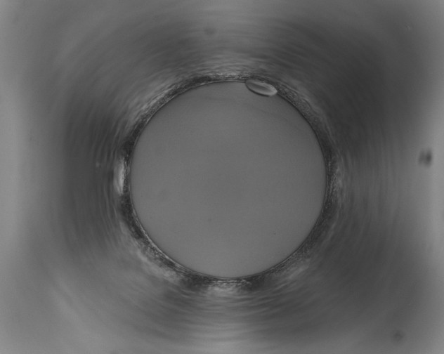 X0000114670076200911181217