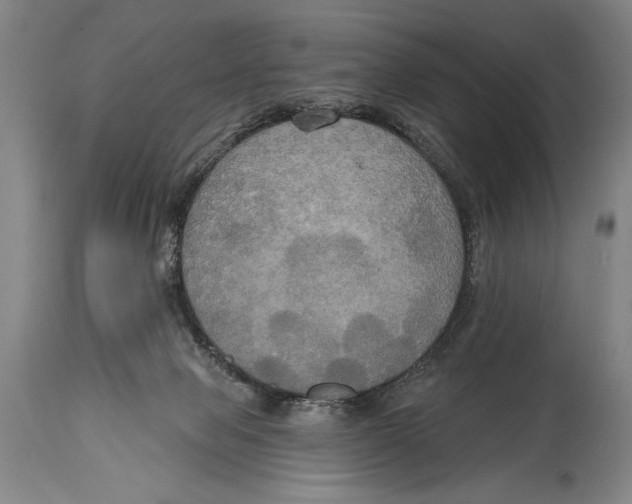 X0000114670077200911181217