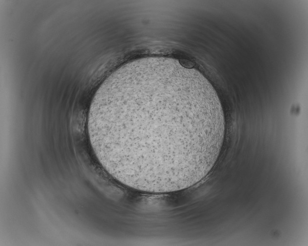 X0000114670078200911181217