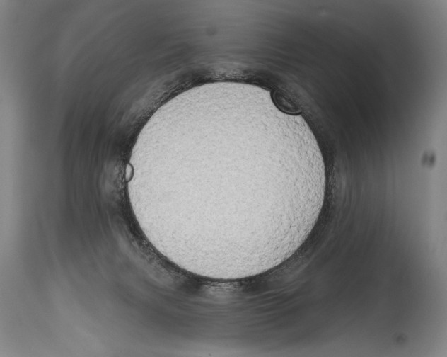 X0000114670079200911181217