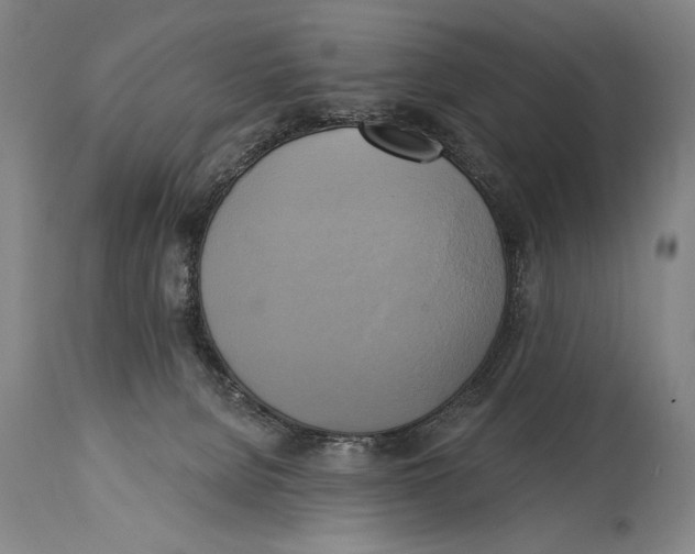 X0000114670080200911181217