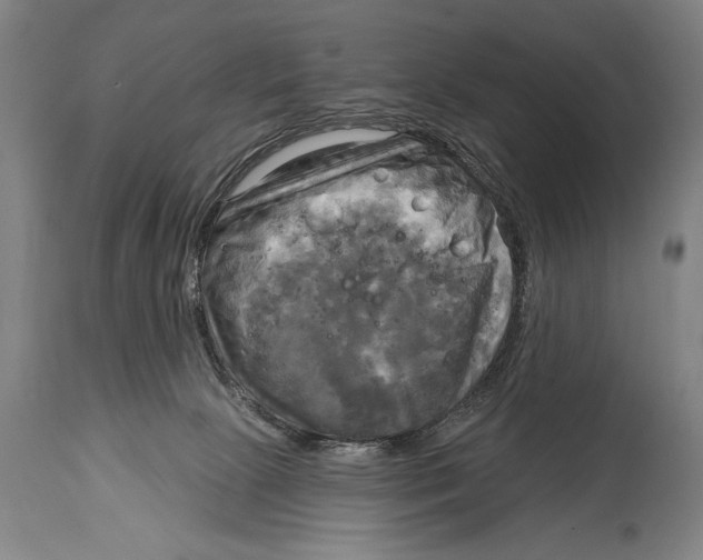 X0000114670081200911181217