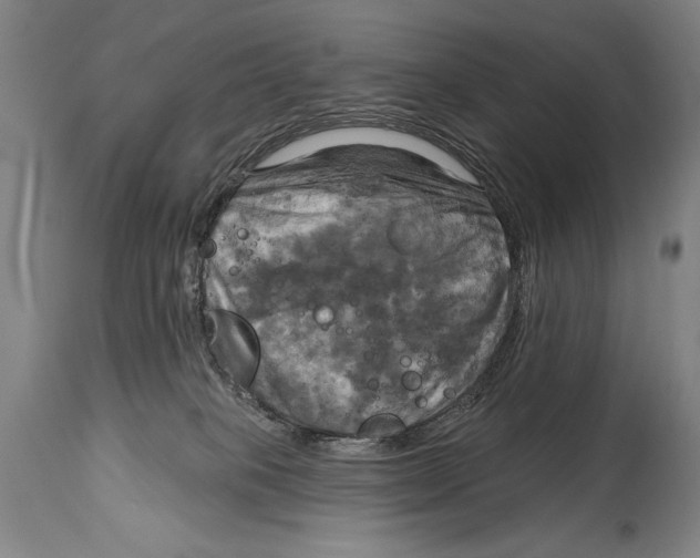 X0000114670085200911181217