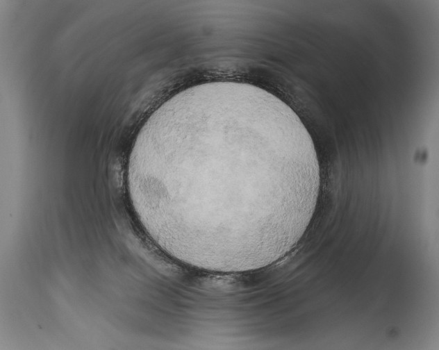 X0000114670086200911181217