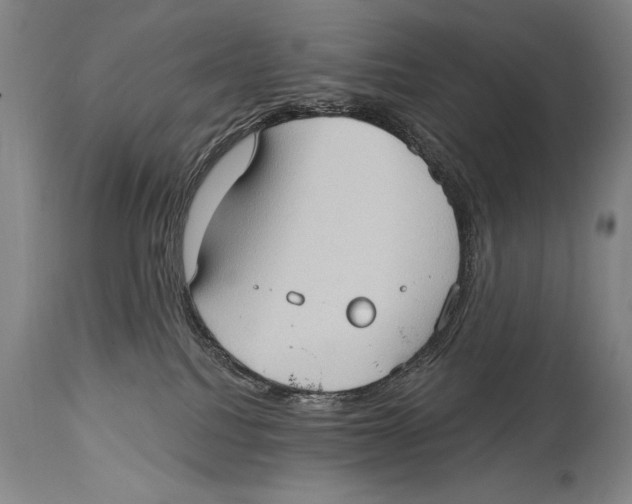 X0000114670088200911181217