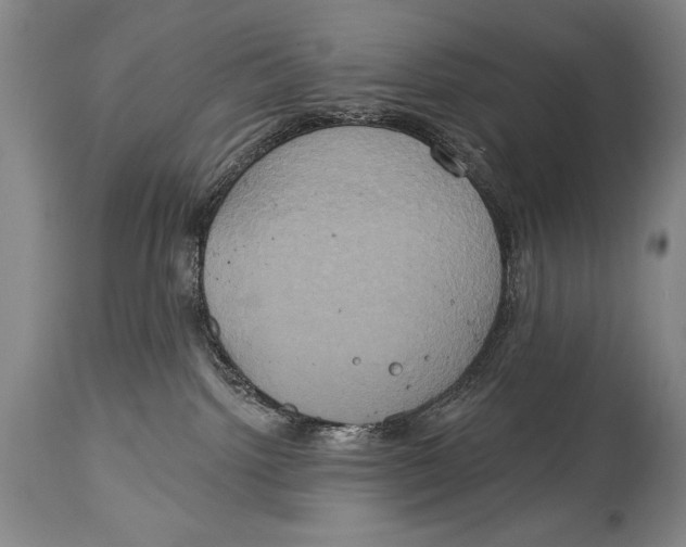 X0000114670092200911181217