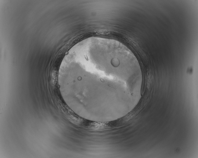 X0000114670093200911181217