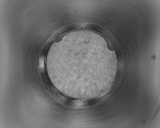 X0000114670094200911181217