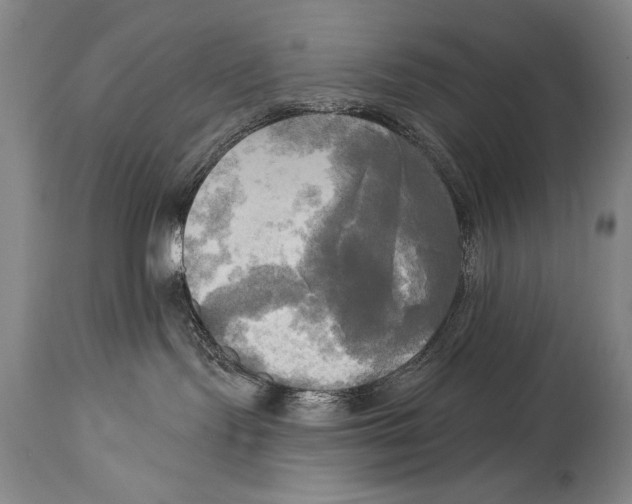 X0000114670095200911181217