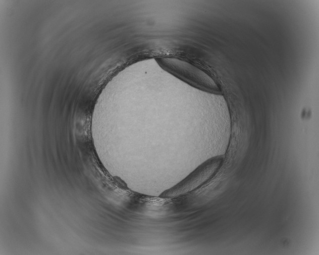 X0000114670096200911181217