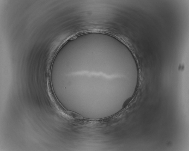 X0000114670097200911181216