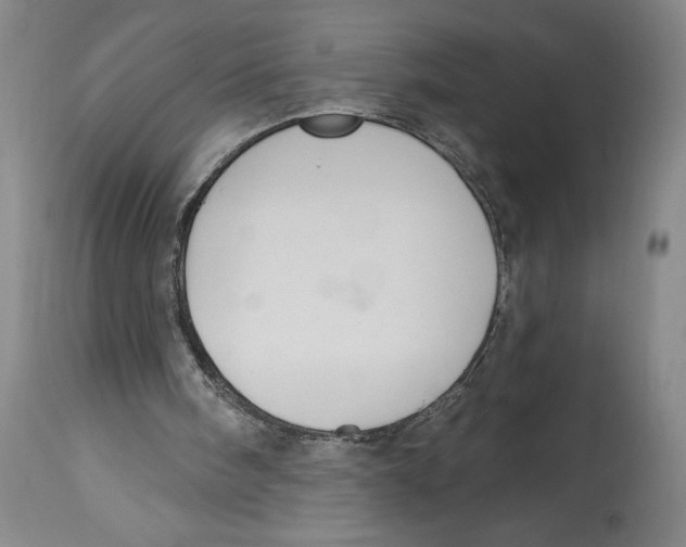 X0000114670098200911181216