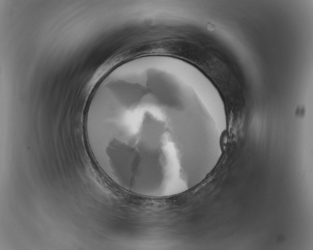 X0000114670099200911181216