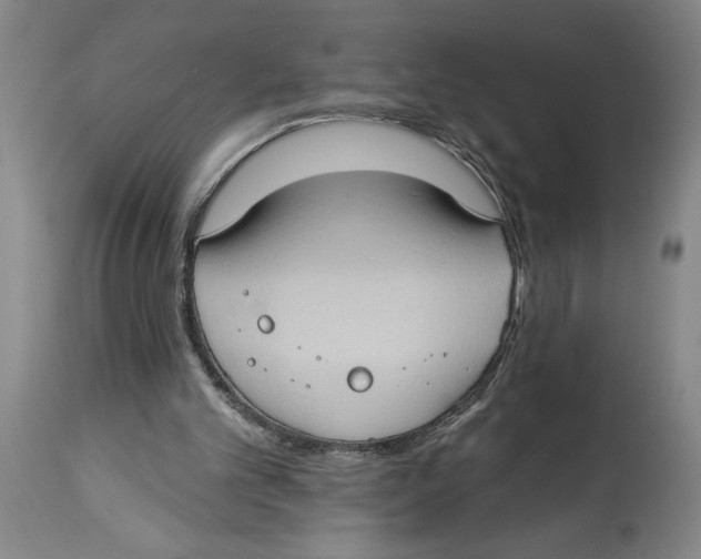 X0000114670101200911181216