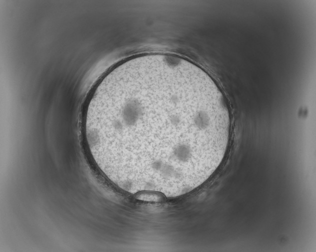 X0000114670103200911181216