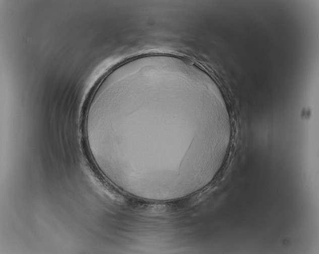 X0000114670104200911181216