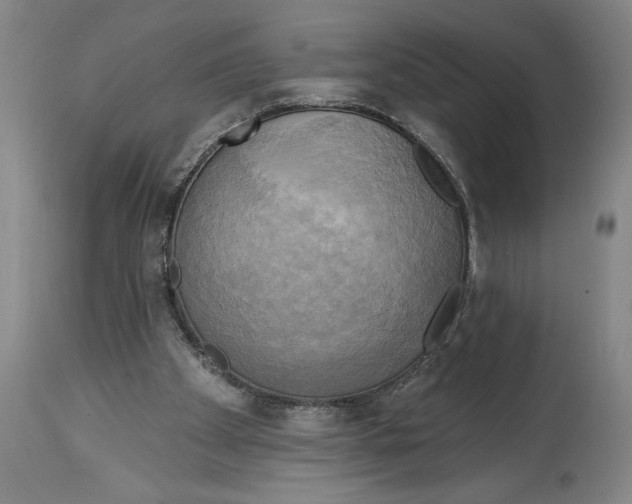 X0000114670105200911181216