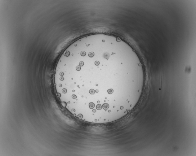 X0000114670106200911181216