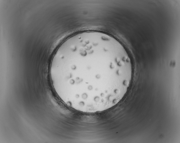 X0000114670107200911181216