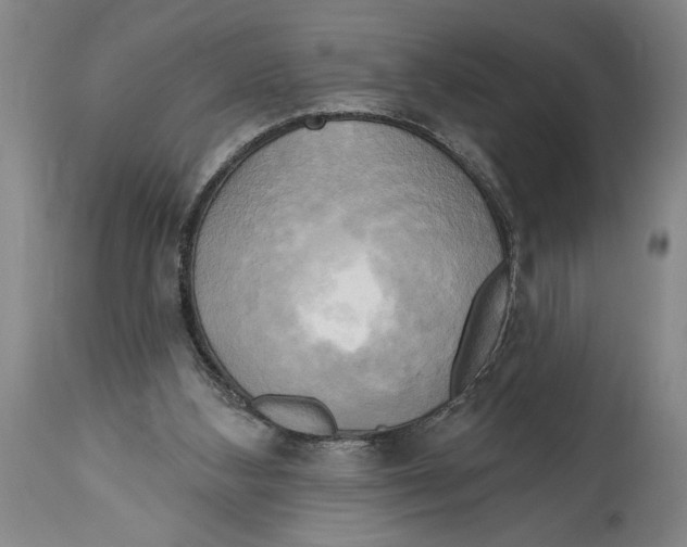 X0000114670108200911181216