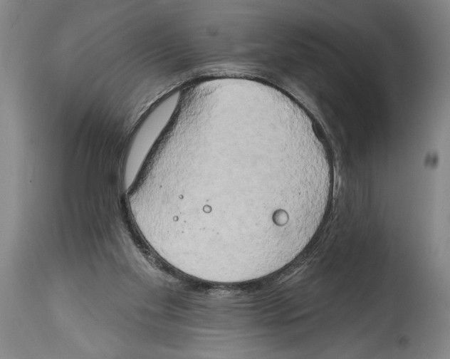 X0000114670109200911181216