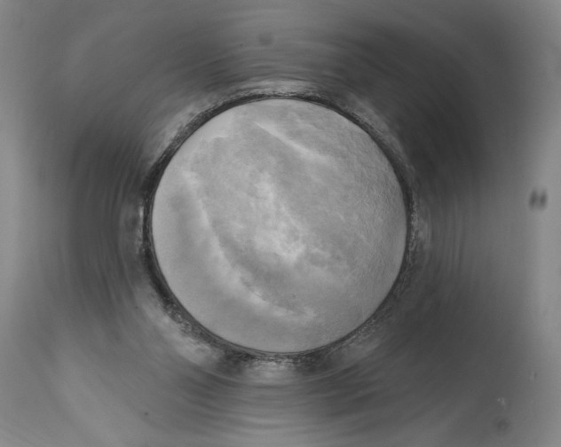 X0000114670110200911181216